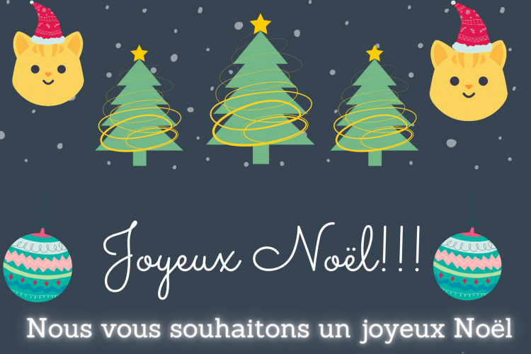 Les élèves de P4A vous souhaitent un joyeux Noël…