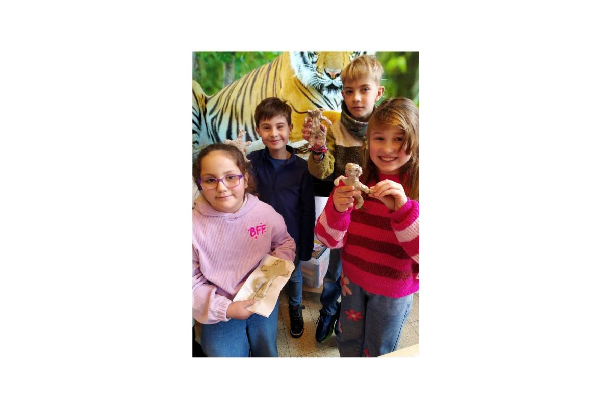 IMG_20260213_143747 - Bis